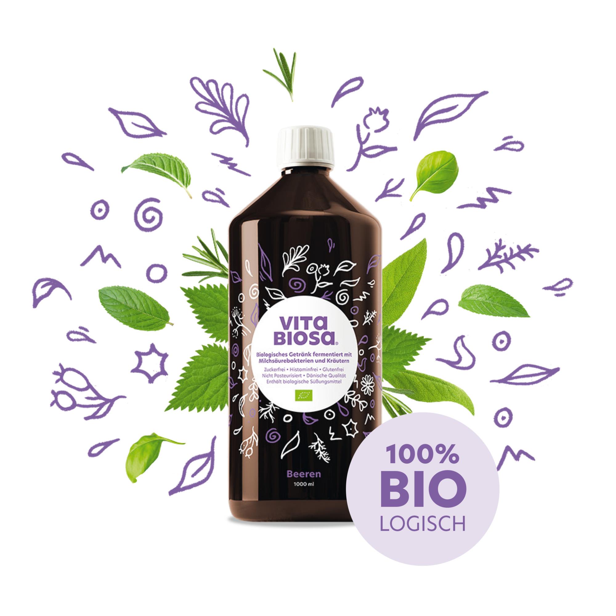 Kräuterfermentgetränk Vita Biosa Beeren 1 L Flasche Neues Design Kräuter Pflanzen