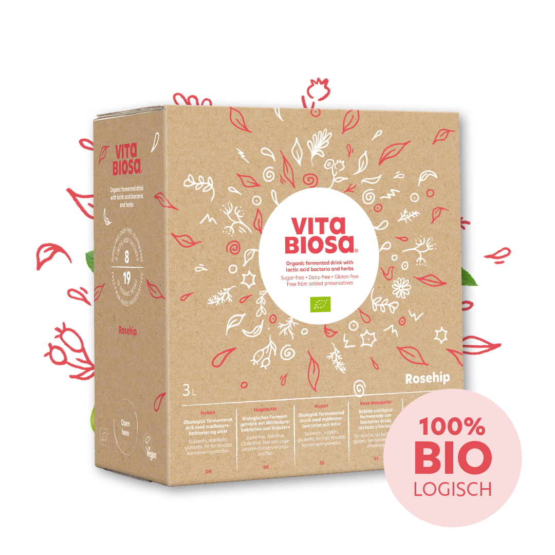 Kräuterfermentgetränk Vita Biosa Hagebutte 3 L Bag-in-Box Flasche Neues Design Kräuter Pflanzen