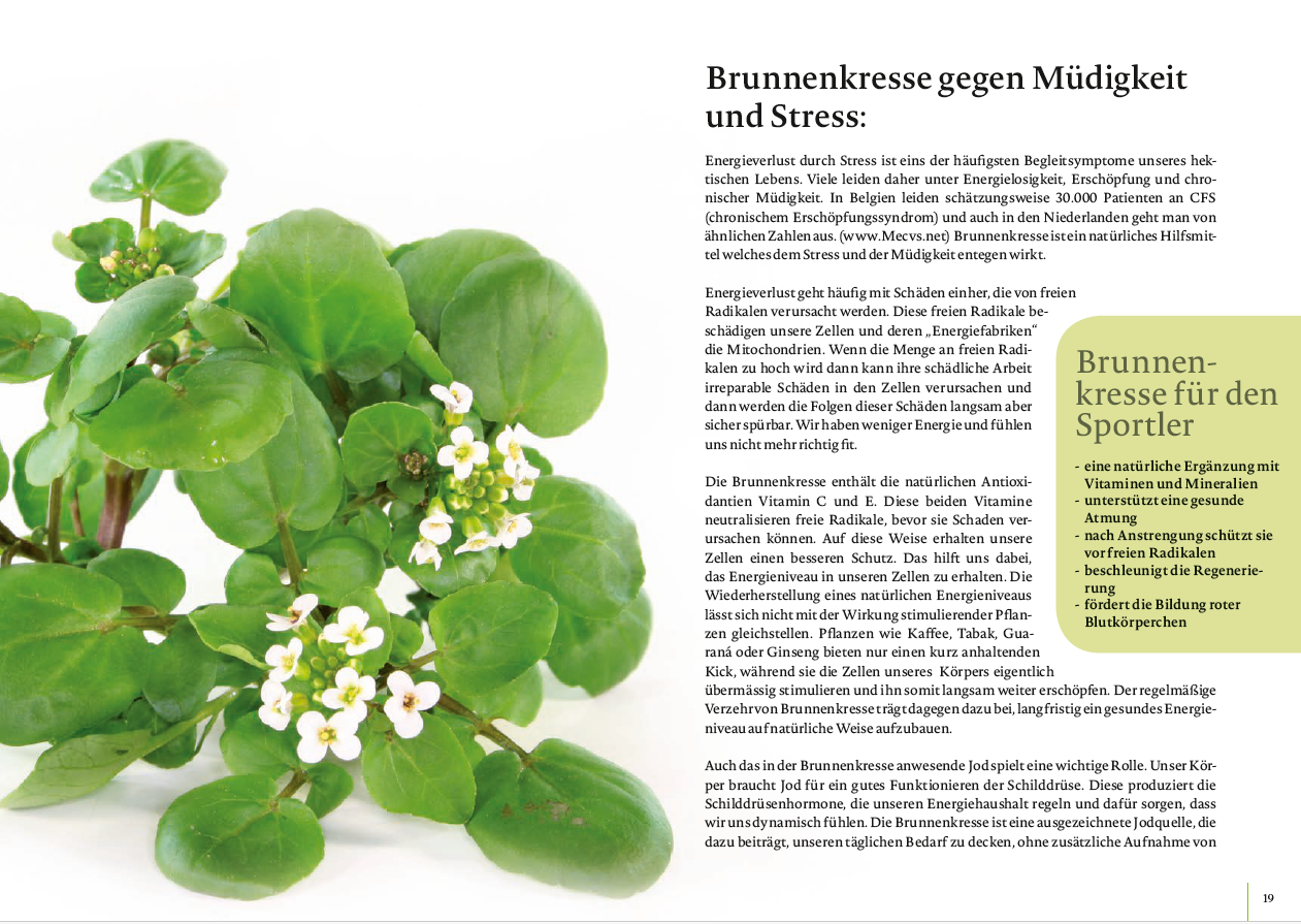 Brunnenkresse Buch Mdigkeit_3129